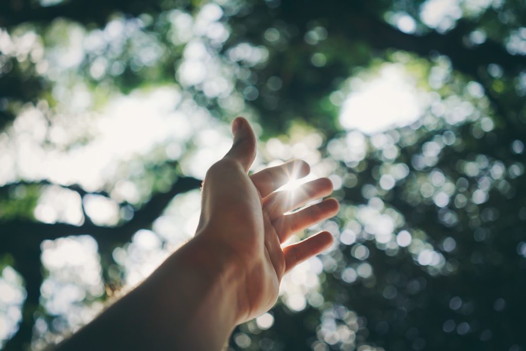 Hand reaching up to trees, representing the hope and growth of therapy.